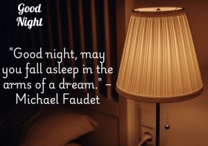 Good night, may you fall asleep in the arms of a dream" by Michael Faudet conveys a soothing and romantic wish for a peaceful night's sleep. It suggests embracing the comfort of dreams, inviting tranquility and warmth as one drifts off, and emphasizing the beauty of letting imagination take over during the night.