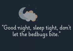 Good night, sleep tight, don't let the bedbugs bite" is a playful and affectionate way to wish someone a restful night's sleep. It combines a warm farewell with a light-hearted warning, adding a touch of humor to the bedtime routine while emphasizing the hope for a peaceful night free from disturbances.