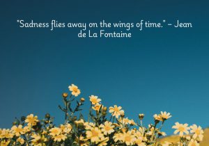 Sadness flies away on the wings of time" by Jean de La Fontaine suggests that with the passage of time, emotional pain and sorrow gradually fade. It highlights the healing power of time, offering hope that sadness will eventually lift, making way for renewal and peace.