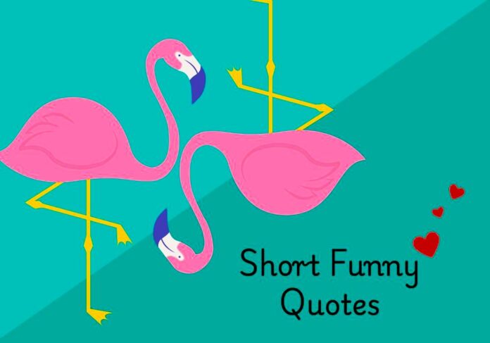 Short Funny Quotes