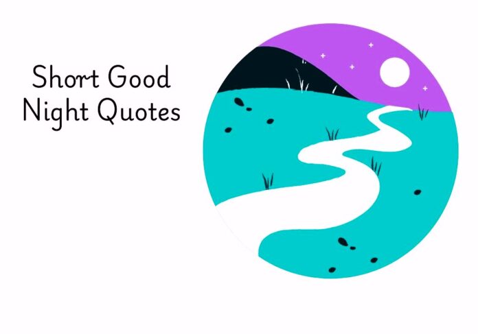 Short Good Night Quotes