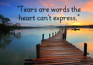 Tears are words the heart can't express" reflects the idea that tears convey deep emotions that are too overwhelming for words. It suggests that when feelings like sadness, pain, or even joy become too intense, tears speak on behalf of the heart.