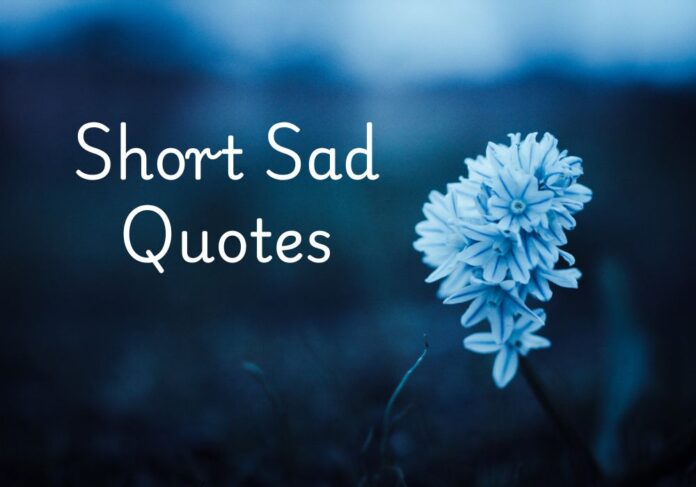 Short Sad Quotes