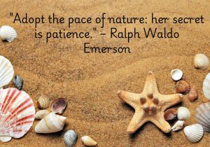 "Adopt the pace of nature: her secret is patience" by Ralph Waldo Emerson emphasizes the importance of patience in life, drawing inspiration from nature's slow and steady rhythms. Nature accomplishes growth, change, and balance over time without rushing. Emerson suggests that by embracing this natural pace and practicing patience, we can achieve more in life, while maintaining peace and harmony. The quote encourages trusting the process and allowing things to unfold in their own time.