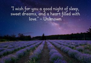 "I wish for you a good night of sleep, sweet dreams, and a heart filled with love" is a warm and caring sentiment, offering both physical rest and emotional comfort. The unknown author expresses a gentle wish for peace, pleasant dreams, and a sense of love and fulfillment. This message reflects a deep desire for the recipient's well-being, combining the nurturing aspects of rest with the emotional nourishment of love, making it a heartfelt and comforting goodnight wish.