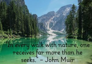 John Muir's quote, "In every walk with nature, one receives far more than he seeks," reflects the profound and unexpected rewards of connecting with the natural world. It suggests that time spent in nature offers not just physical benefits, but also a deeper sense of peace, inspiration, and renewal. Nature provides wisdom, tranquility, and healing beyond what we consciously seek, enriching our lives in ways we may not anticipate.