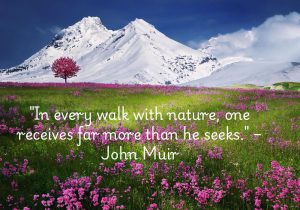 "In every walk with nature, one receives far more than he seeks" by John Muir highlights the profound and unexpected benefits of connecting with nature. Muir, a naturalist, suggests that time spent in nature offers deeper rewards beyond physical exploration, such as peace, inspiration, and personal growth. The quote reflects the healing and enriching qualities of the natural world, offering more than what we initially seek or expect.