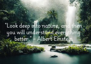 Albert Einstein's quote, "Look deep into nature, and then you will understand everything better," highlights the idea that nature holds the key to profound insights. By observing the natural world closely, we can uncover fundamental truths about life, the universe, and ourselves. Nature’s patterns and processes offer wisdom, helping us gain clarity and a deeper understanding of complex ideas and our place in the world.