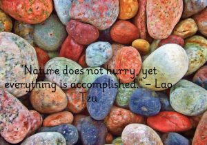 "Nature does not hurry, yet everything is accomplished" by Lao Tzu highlights the effortless flow and patience of nature's processes. It suggests that in nature, things unfold in their own time without rush, yet everything reaches completion. The quote encourages adopting a calm, patient approach to life, trusting that with persistence and balance, goals can be achieved without force or haste. It reflects the wisdom of aligning with the natural pace of life.