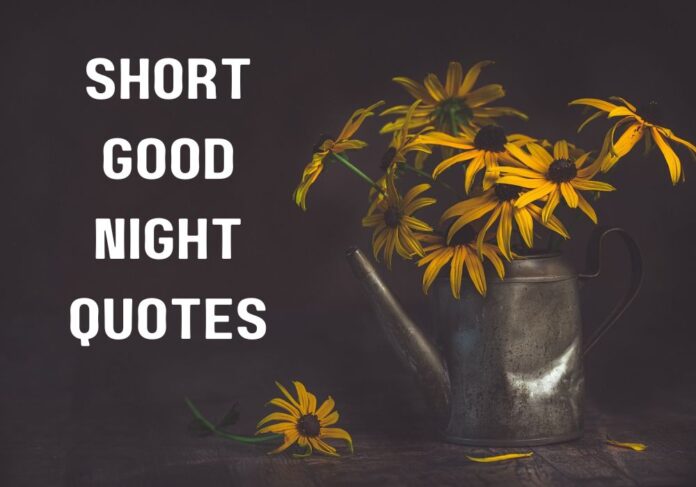 Short Good Night Quotes