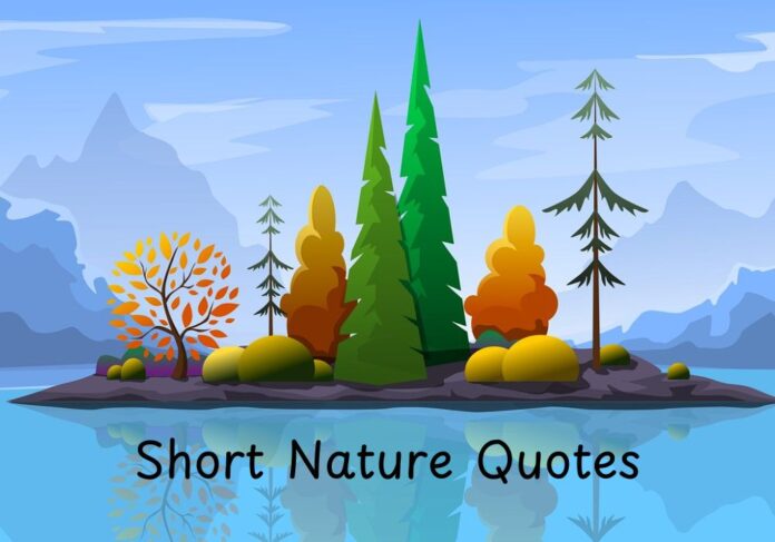 Short Nature Quotes