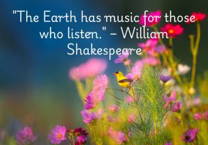 William Shakespeare's quote, "The Earth has music for those who listen," beautifully suggests that nature offers its own kind of harmony and wisdom to those who pay attention. It implies that if we take the time to observe and connect with the natural world, we can experience its calming, inspiring, and enriching presence, much like music. This quote encourages mindfulness and an appreciation for the subtle beauty of the Earth.