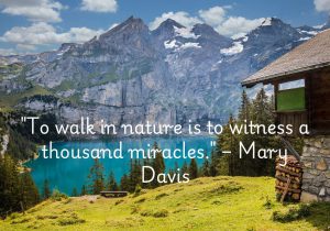 Mary Davis's quote, "To walk in nature is to witness a thousand miracles," highlights the wonder and beauty found in even the smallest details of the natural world. It suggests that every step in nature reveals countless marvels—whether it’s the intricate design of a flower, the flight of a bird, or the serenity of a stream. This quote reminds us to appreciate the extraordinary in the ordinary, and to find awe in the simple, everyday miracles nature provides.