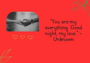 "You are my everything. Good night, my love" is a tender and intimate expression of deep affection. The unknown author conveys that the person they are addressing holds immense importance in their life, representing love, joy, and completeness. By pairing this with a goodnight wish, the phrase becomes both a declaration of devotion and a sweet, loving farewell before rest, emphasizing the emotional connection and closeness between the two.