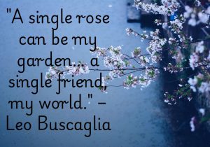 Leo Buscaglia beautifully illustrates the profound value of true friendship. One genuine friend can bring as much joy and fulfillment as an entire garden of roses. They become our source of comfort, happiness, and strength. A single friend can truly make the world feel complete. 🌹❤️