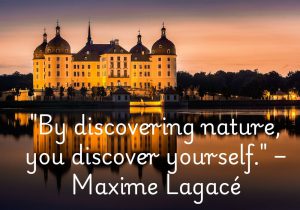 Maxime Lagacé's quote highlights the deep connection between nature and self-discovery. Immersing in the natural world reveals clarity, peace, and insights about our true selves. Nature acts as a mirror, reflecting who we are and what truly matters. In its simplicity, we find profound understanding.