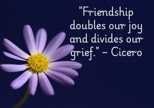 Cicero perfectly captures the essence of friendship: sharing life’s highs and lows. True friends amplify our happiness, making joyful moments even sweeter. At the same time, they lighten our burdens by standing with us in tough times. Friendship truly makes life’s journey richer and easier. 🤝💖