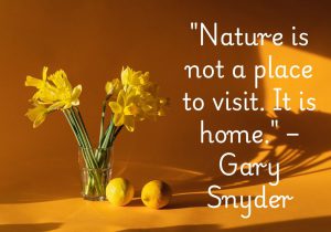 "Nature is not a place to visit. It is home." – Gary Snyder