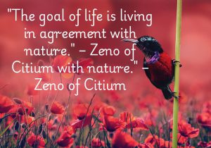 "The goal of life is living in agreement with nature." – Zeno of Citium