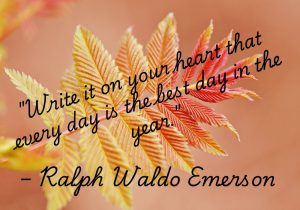 "Write it on your heart that every day is the best day in the year" by Ralph Waldo Emerson encourages us to appreciate the present moment. It reminds us to see the value in each day, no matter what it brings. The quote inspires a mindset of gratitude and positivity. By embracing each day as the best, we create a life filled with joy and meaning.